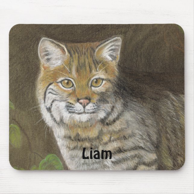 Bobcat Musmatta (Framsidan)