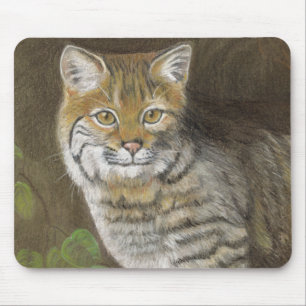 Bobcat Musmatta