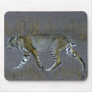 Bobcat Musmatta