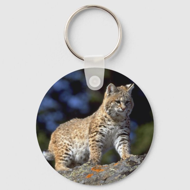 Bobcat Nyckelring (Framsida)