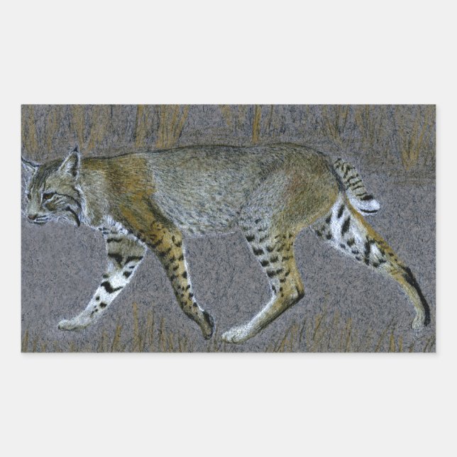 Bobcat Rektangulärt Klistermärke (Framsida)