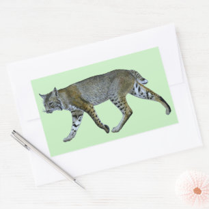 Bobcat Rektangulärt Klistermärke
