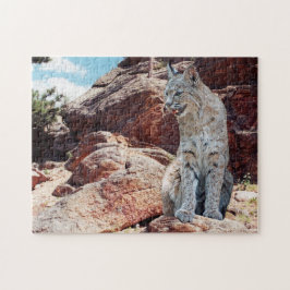 Bobcat Restation between Sten in Mountains Pussel