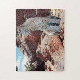 Bobcat Restation between Sten in Mountains Pussel