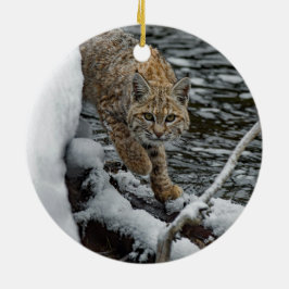 Bobcat Snö Vatten Photo Julgransprydnad Keramik