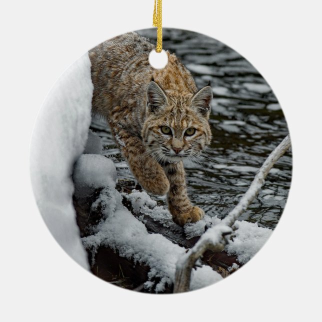 Bobcat Snö Vatten Photo Julgransprydnad Keramik (Baksidan)
