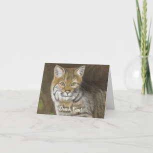 Bobcat Tack Kort