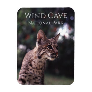Bobcat vid Vind Cave National Park, South Dakota Magnet
