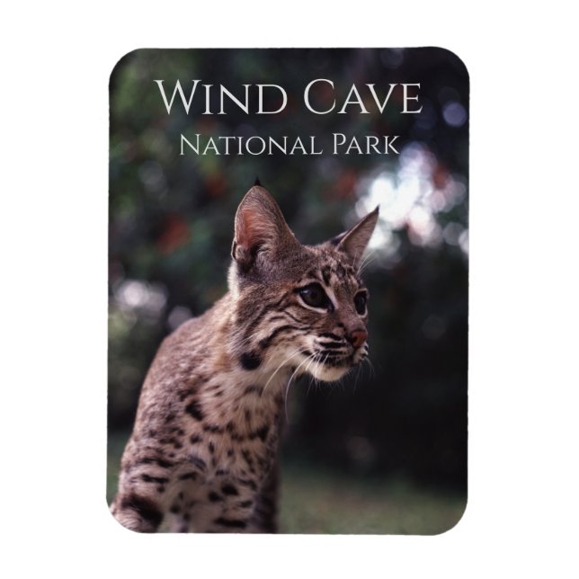 Bobcat vid Vind Cave National Park, South Dakota Magnet (Vertikal)