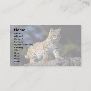 Bobcat Visitkort
