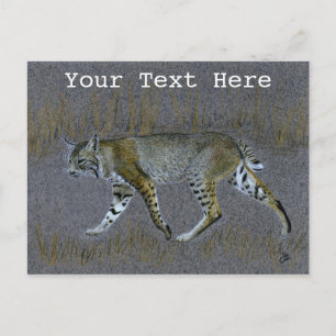 Bobcat Vykort