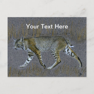 Bobcat Vykort