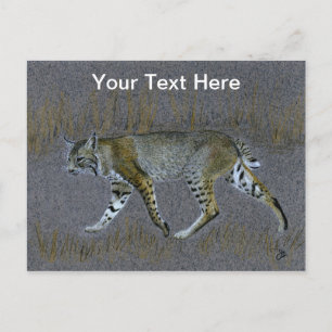 Bobcat Vykort