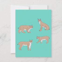 Bobcat Vykort