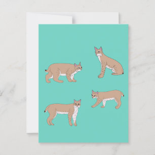 Bobcat Vykort