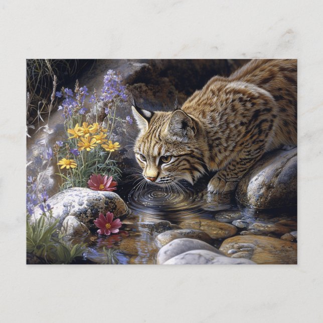 Bobcat with Wildblomme Scenia Art Vykort (Framsida)