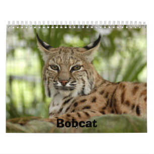 BobcatBCR031 Bobcat Kalender