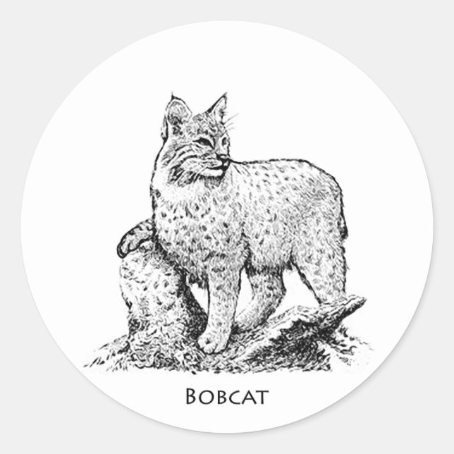 Bobcatillustration Runt Klistermärke (Framsida)