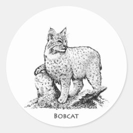 Bobcatillustration Runt Klistermärke
