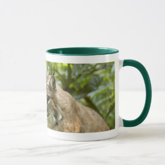 Bobcatmuggar Mugg