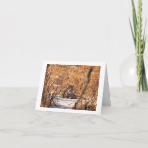 Bobcatnotecard Kort