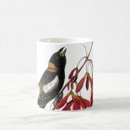 Bobolink av Audubon Kaffemugg