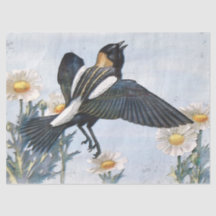 Bobolink Bird Decoupage-vävnadsdokument