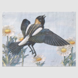 Bobolink Bird Decoupage-vävnadsdokument