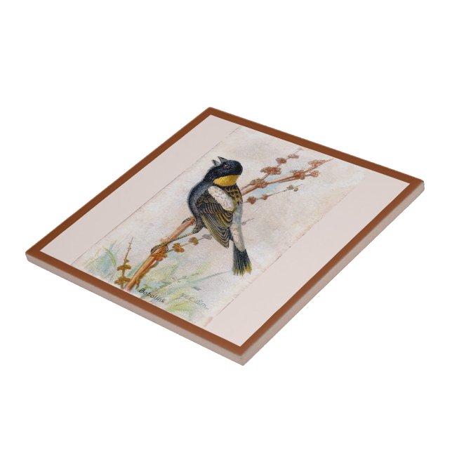 Bobolink Large Bird Ceramic Tile Kakelplatta (Sidan)