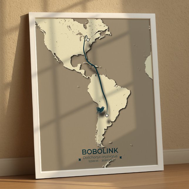Bobolink Migration Karta - minimal Vintage Poster (Skapare uppladdad)