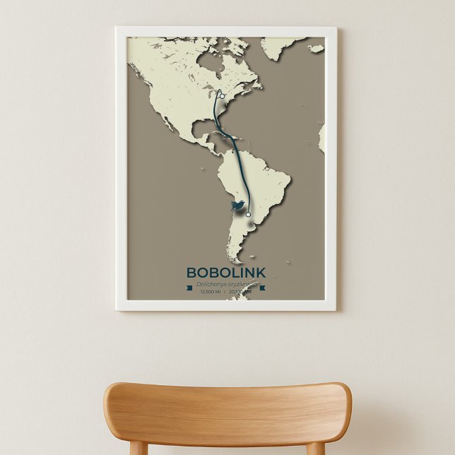 Bobolink Migration Karta - minimal Vintage Poster (Skapare uppladdad)
