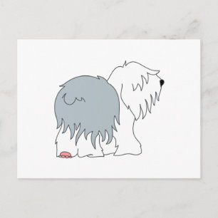 Bobtail Sheepdog Vykort