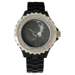 Bobtail valpporträtt i studio armbandsur