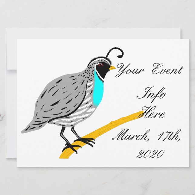 Bobwhite Blue-throated Quail Thunder_Cove (Framsida)