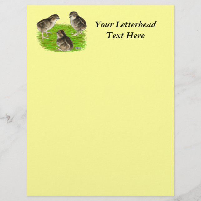 Bobwhite Quail-Chickar (Framsida)