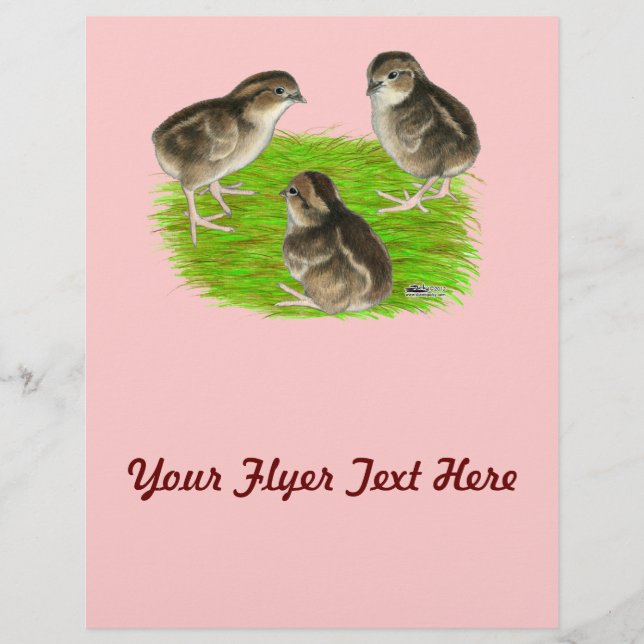 Bobwhite Quail-Chickar Reklamblad (Framsidan)