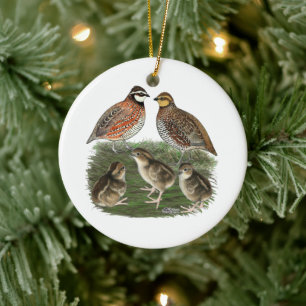 Bobwhite Quail-familjen Julgransprydnad Keramik