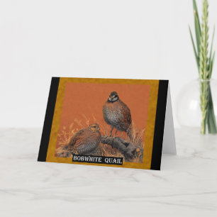 Bobwhite Quail (Georgia, Missouri och Tennessee) Kort
