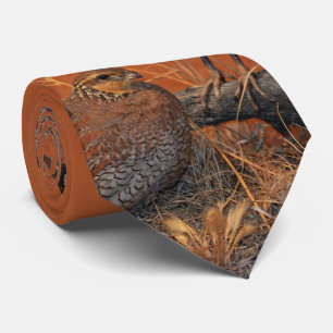 Bobwhite Quail (Georgia, Missouri och Tennessee) Slips