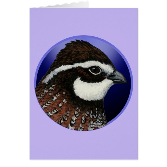 Bobwhite Quail Head Circle OBS Kort (Framsidan)