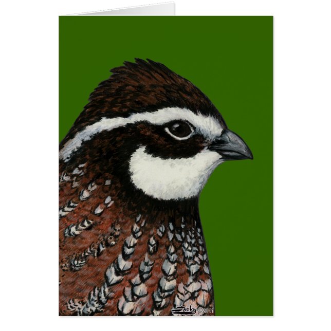 Bobwhite Quail Head Hälsningskort (Framsidan)