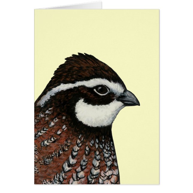 Bobwhite Quail Head Hälsningskort (Framsidan)