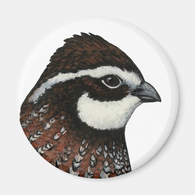 Bobwhite Quail Head Magnet (Framsidan)