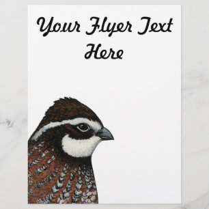Bobwhite Quail Head Reklamblad