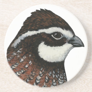 Bobwhite Quail Head Underlägg Sandsten