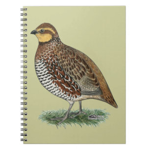 Bobwhite Quail Hen Anteckningsbok