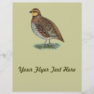 Bobwhite Quail Hen Reklamblad