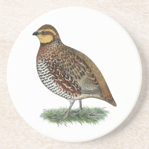 Bobwhite Quail Hen Underlägg Sandsten