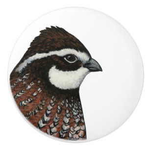 Bobwhite Quail-huvud Knopp