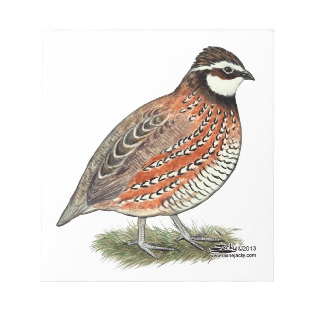 Bobwhite Quail Tupp Anteckningsblock (Framsida)